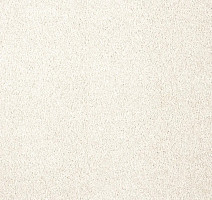 Ковролин AW Invictus Carolus 3 фото 1 | FLOORDEALER